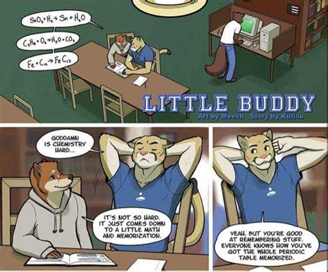 gay furry comics|Best furry/yiff comics : r/yiff